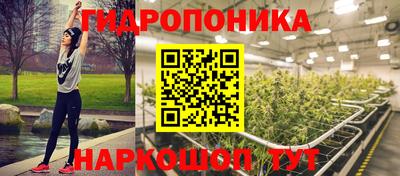 соль ск Дубна