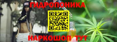 соль ск Дубна