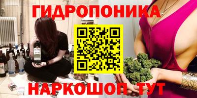соль ск Дубна