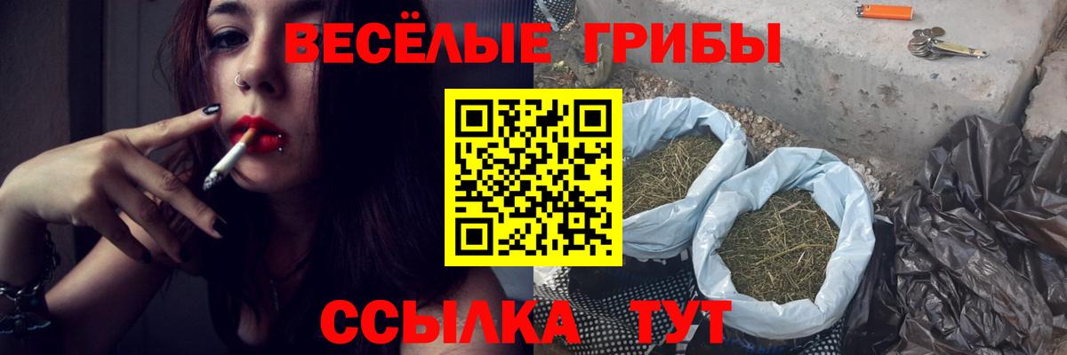 купить наркотик  Вход с VPN  Тимашёвск  Галлюциногенные грибы ЛСД 